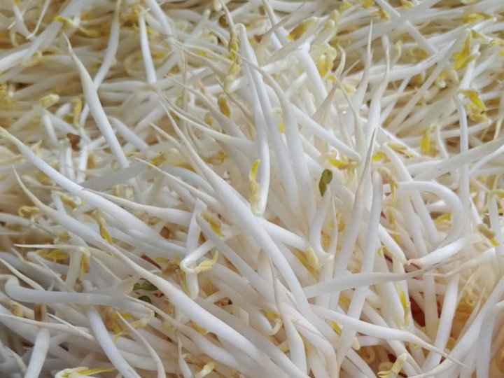 Giá đỗ