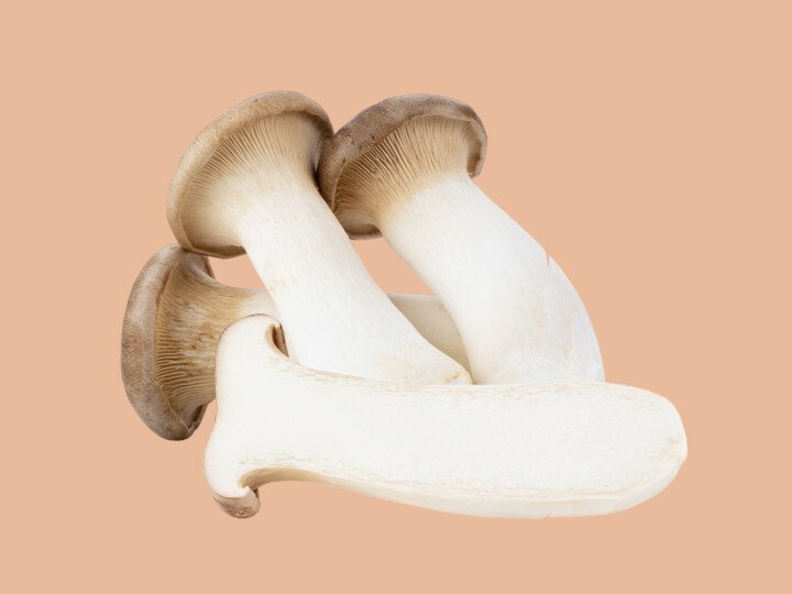 Nấm đùi gà