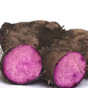Khoai mỡ Organic 300gr