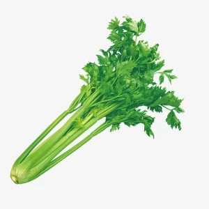 Rau cần tây Organic 500gr